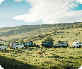Samburu National R...