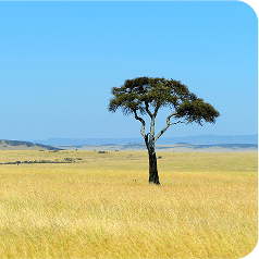 Maasai Park