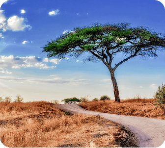 Hell’s Gate & Lake Naivasha Day Trip